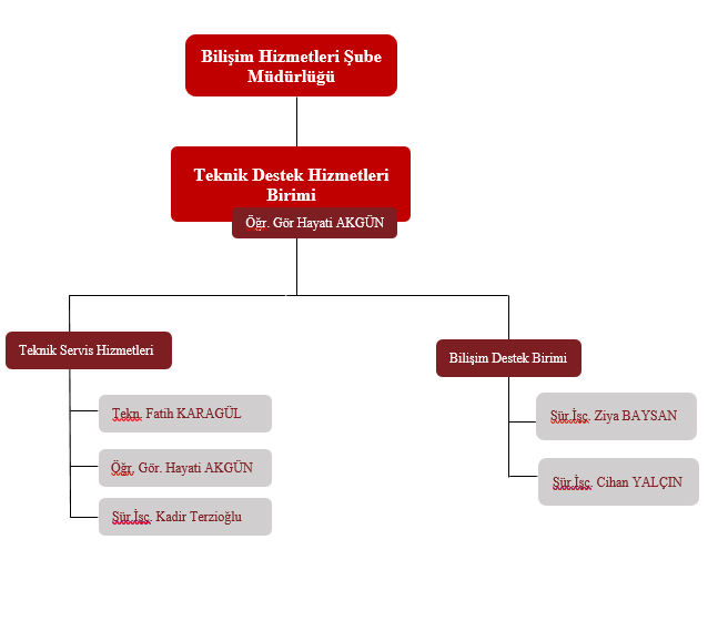 Teknik Destek Hizmetleri Birimi Organizasyon Şeması - Bilgi İşlem Daire ...