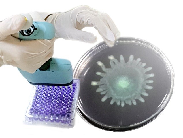Pharmaceutical Microbiology Faculty Of Pharmacy Suleyman Demirel 