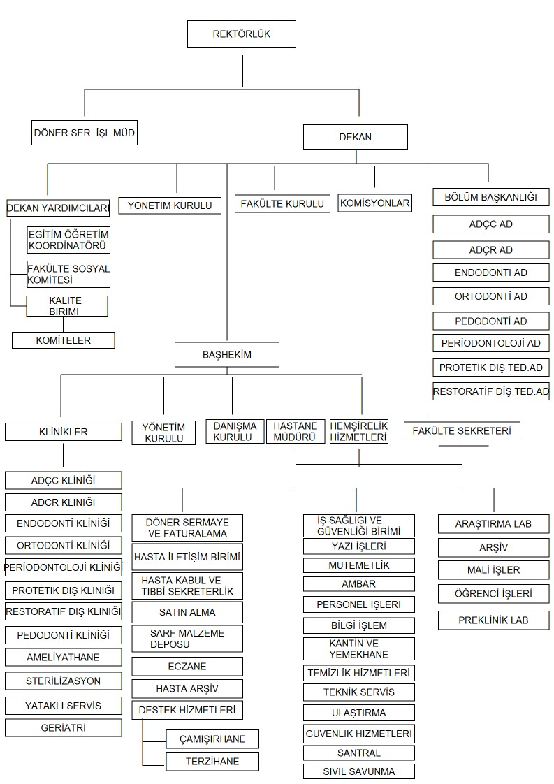 Organizasyon Şeması - Diş Hekimliği Fakültesi - Süleyman ...